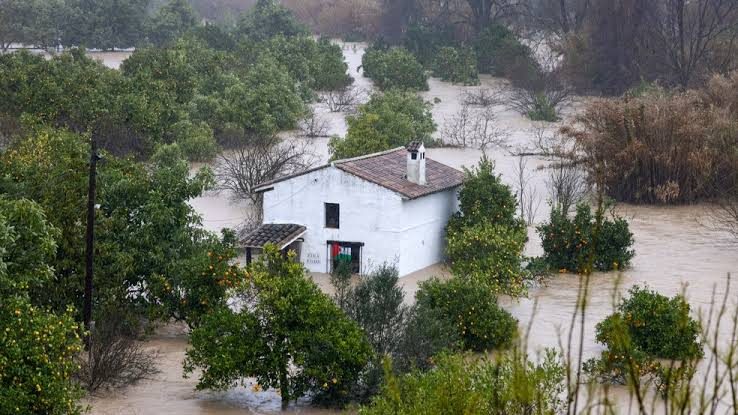 Casa de campo cercada pela água num laranjal