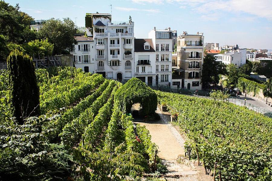 Sete festivais para viver a França em outubro: jazz, cinema, vinho e piment